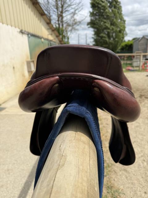 Sella da salto ostacoli CWD  17.5" - 2017