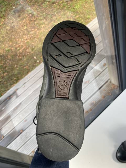  Ariat Occasione