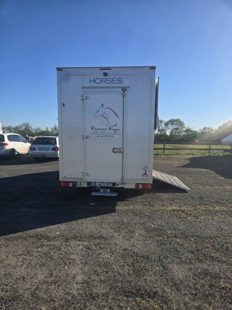 Van per Cavalli Renault Master 2014 Occasione