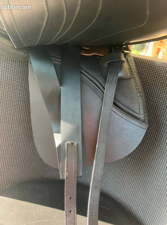 Sella da dressage   16" - 2025