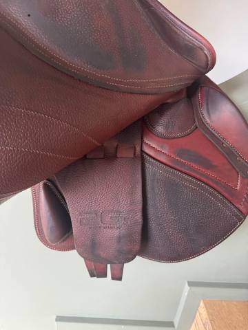 Sella da salto ostacoli CWD  17.5" - 2021