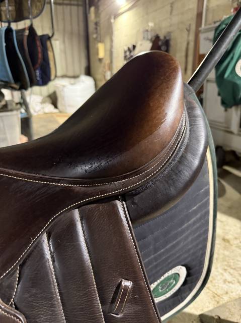 Sella da salto ostacoli Forestier  17" - 2025