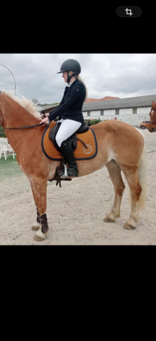 Sella da salto ostacoli Forestier  17" - 2019