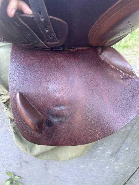 Sella mista Eric Thomas Oxer 17.5" - 2015