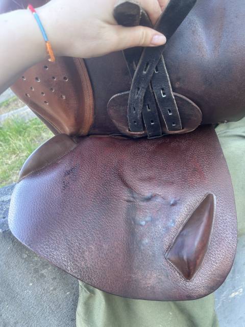Sella mista Eric Thomas Oxer 17.5" - 2015