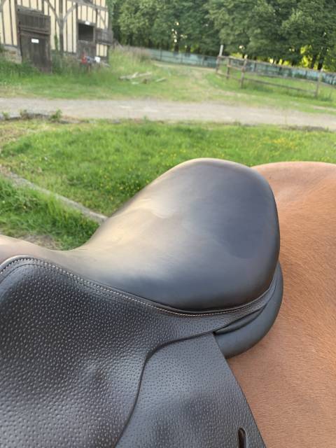 Sella da salto ostacoli Forestier Prem&rsquo;s  17" - 2023