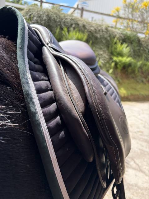 Sella da salto ostacoli Forestier  18.5" - 2025