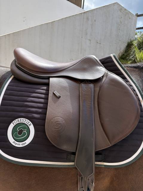 Sella da salto ostacoli Forestier  18.5" - 2025