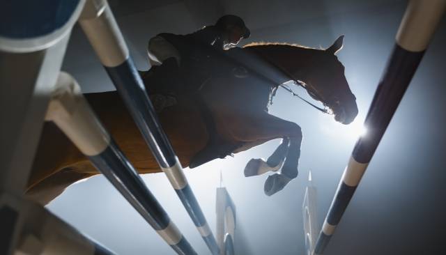 Centro ippico In vendita Bas-Rhin