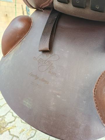 Sella mista  Loxley 17" - 2025