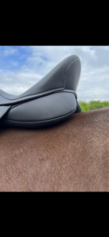Sella mista Wintec  18" - 2025