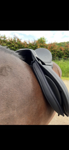 Sella mista Wintec  18" - 2025
