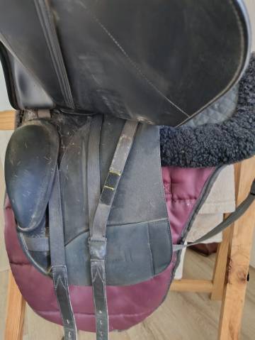 Sella da dressage Wintec  17" - 2020