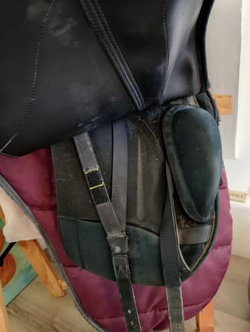 Sella da dressage Wintec  17" - 2020