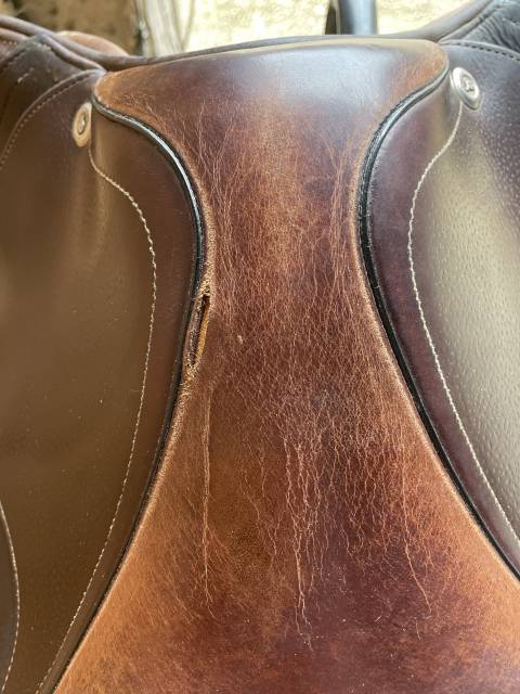 Sella da salto ostacoli CWD  17.5" - 2014