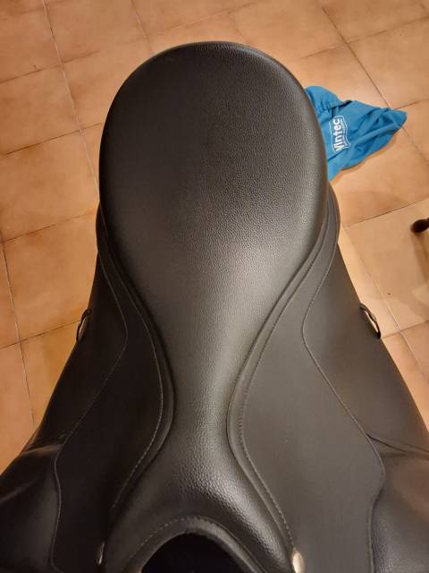 Sella da dressage Wintec  17.5" - 2024
