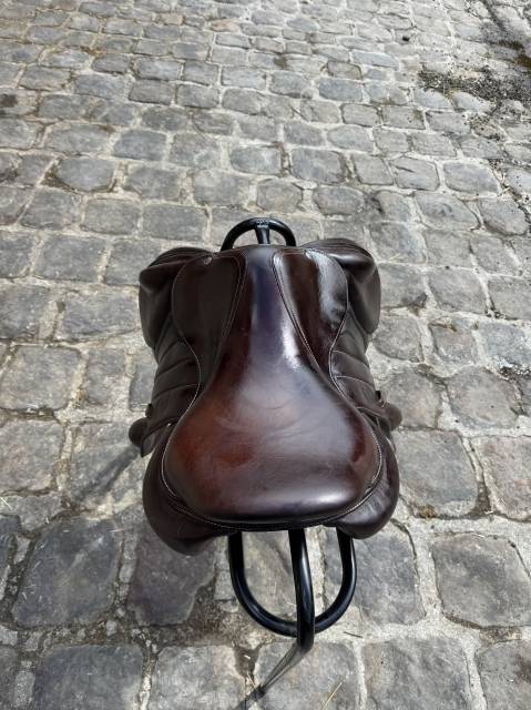 Sella da cross Forestier  17.5" - 2022
