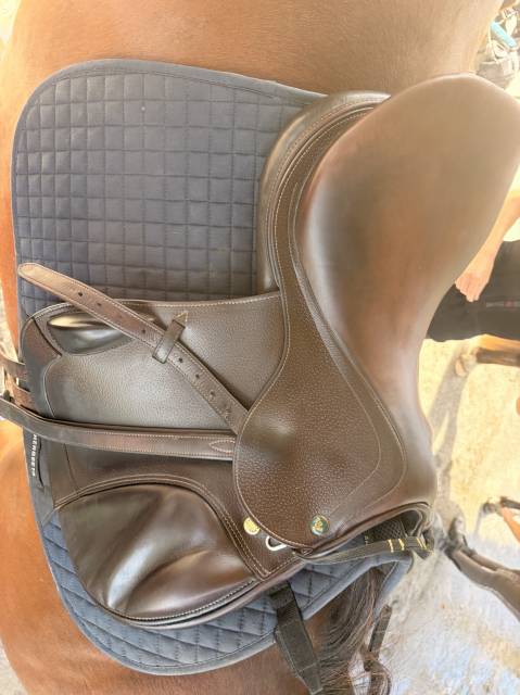 Sella da salto ostacoli Prestige Italia Golden star mono quartier  17" - 2018
