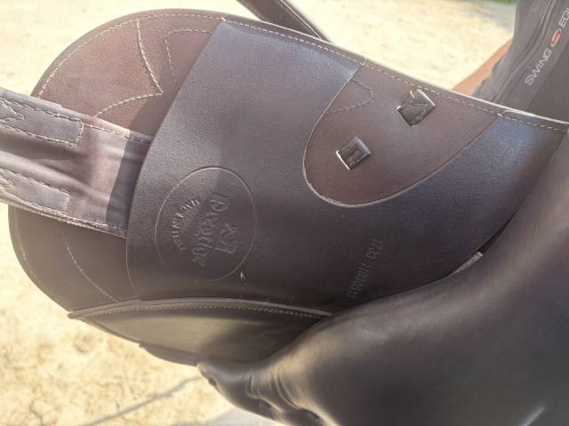 Sella da salto ostacoli Prestige Italia Golden star mono quartier  17" - 2018
