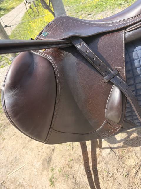Sella da salto ostacoli Prestige Italia Golden star mono quartier  17" - 2018
