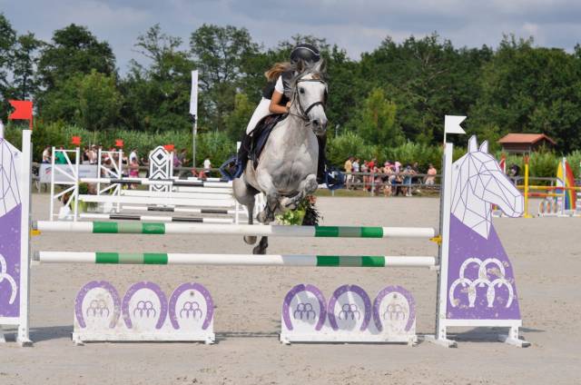 Cavalla Altre Razze di Pony In vendita 2013 Baio ,  AFAS DE NAVA