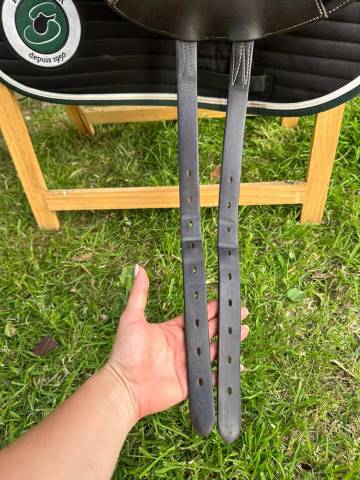 Sella mista Forestier  17.5" - 2022