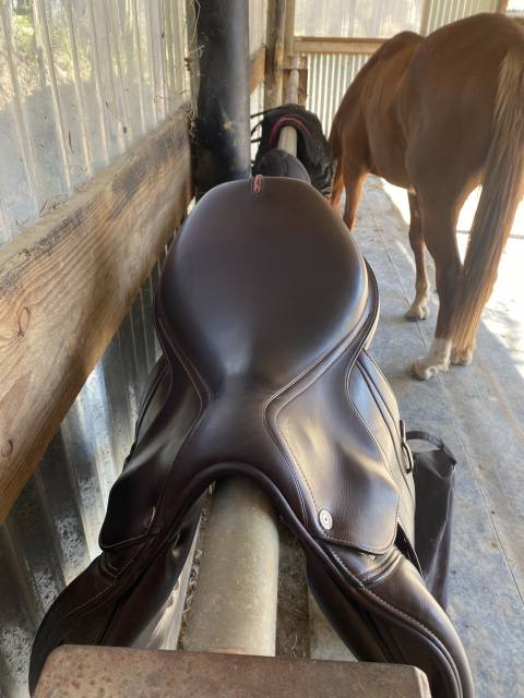 Sella mista Equipe  17" - 2021