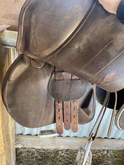 Sella mista Equipe  17" - 2021