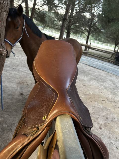 Sella mista   17.5" - 2023