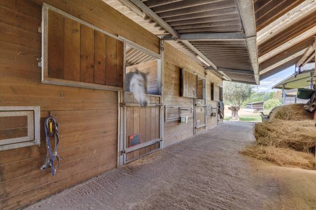 Propriet&agrave; equestre In vendita Tarn-et-Garonne