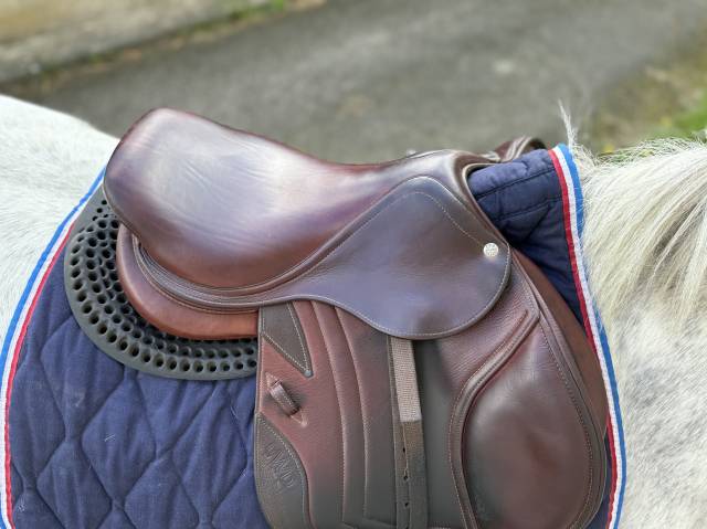 Sella Junior / Sella Pony CWD  15.5" - 2015