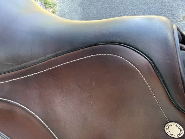 Sella mista   17.5" - 2020