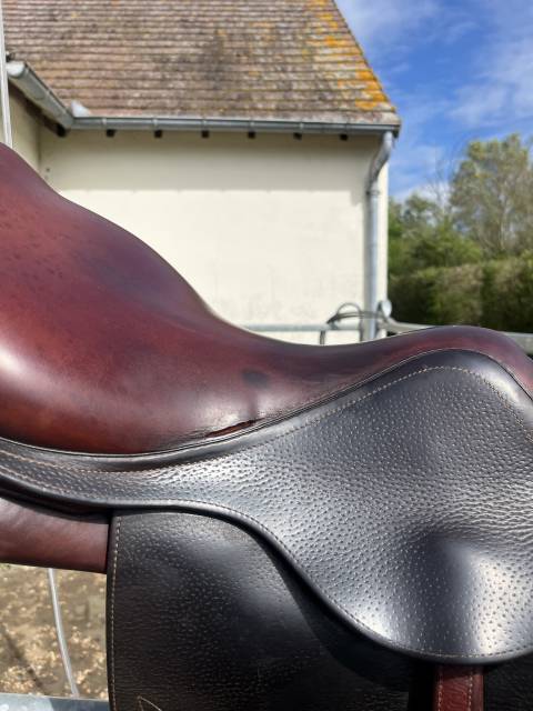 Sella da salto ostacoli CWD  18" - 2015
