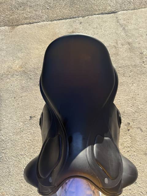 Sella da dressage Amerigo  17.5" - 2022