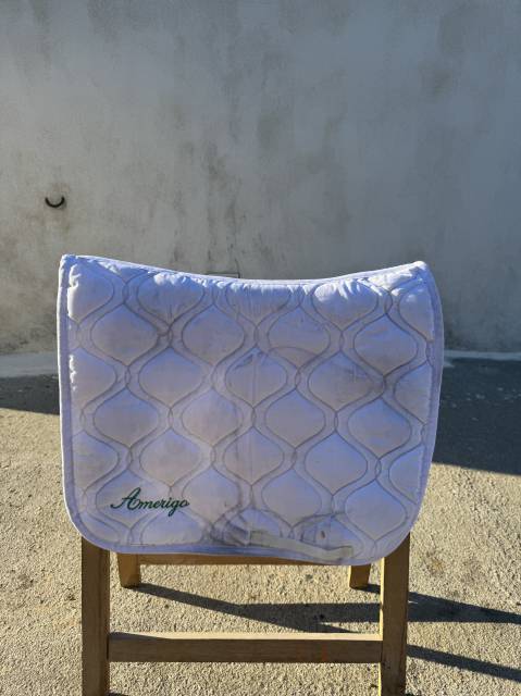 Sella da dressage Amerigo  17.5" - 2022