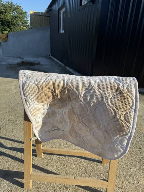 Sella da dressage Amerigo  17.5" - 2022