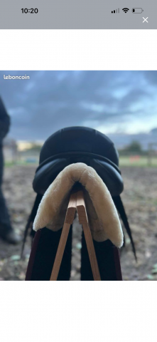 Sella da dressage Pfiff New Lord 17.5" - 2021