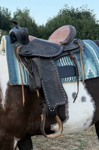 Sella western   15.5" - 2024