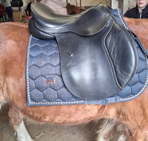 Sella mista   16.5" - 2018