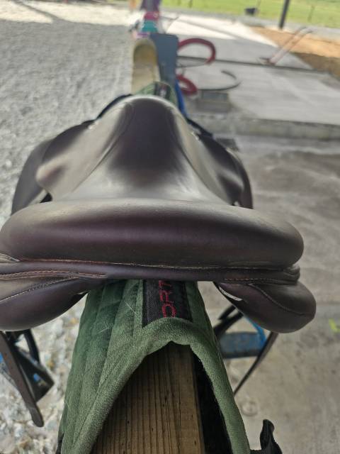 Sella da salto ostacoli CWD  15.5" - 2024