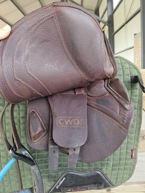 Sella da salto ostacoli CWD  15.5" - 2024