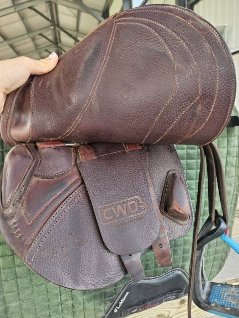 Sella da salto ostacoli CWD  15.5" - 2024