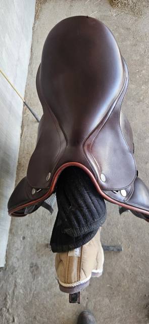 Sella da dressage Prestige Italia D1 dressage  17" - 2023