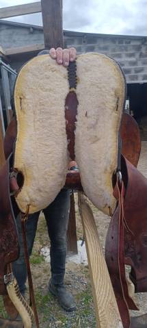 Sella western  Hereford brand by tex tan 17.5" - 2000