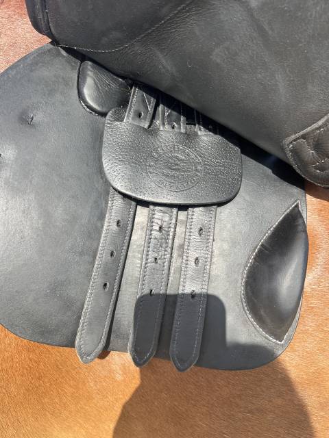 Sella mista Privil&egrave;ge Equitation  17.5" - 2020