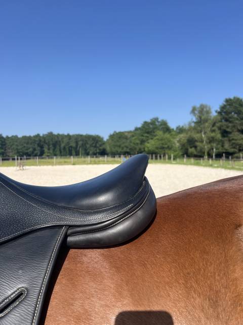 Sella mista Privil&egrave;ge Equitation  17.5" - 2020