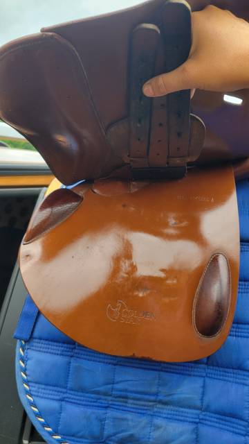 Sella mista Prestige Italia Golden star  16.5" - 2005