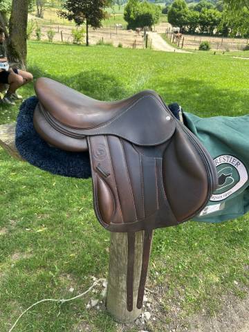 Sella mista Forestier  16.5" - 2022