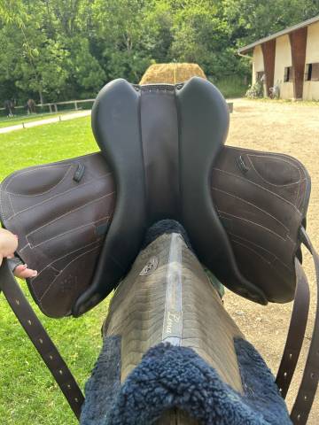 Sella mista Forestier  16.5" - 2022