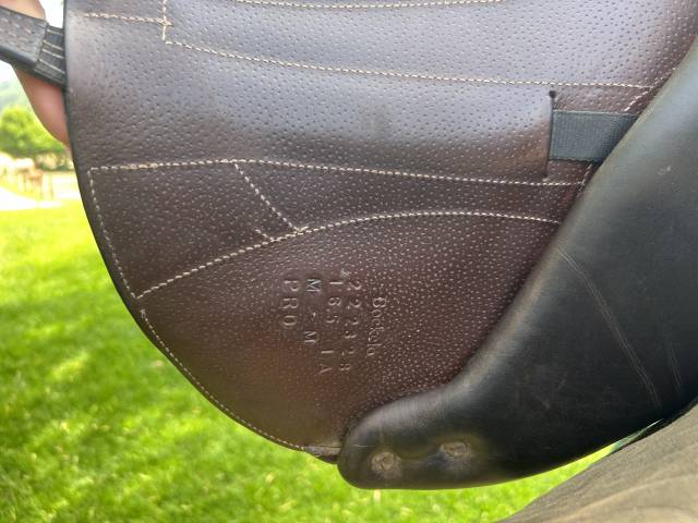 Sella mista Forestier  16.5" - 2022